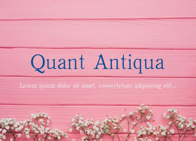 Quant Antiqua example
